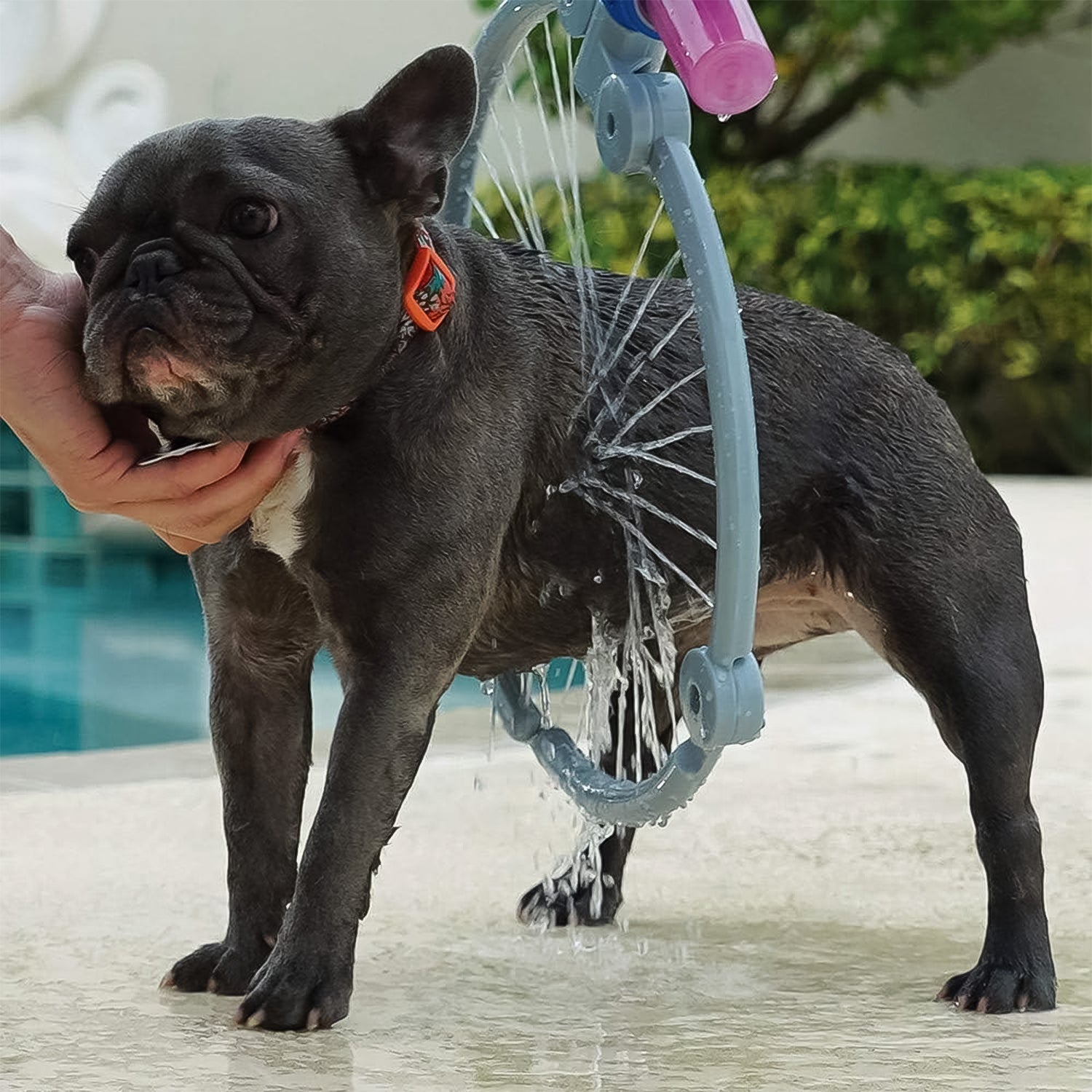 EasyBath Pet Sprayer EasyBath Pet Sprayer